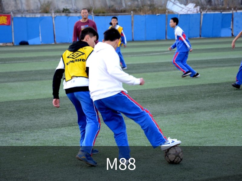 M88(明升)中国官方网站